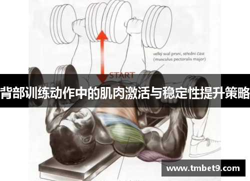 背部训练动作中的肌肉激活与稳定性提升策略
